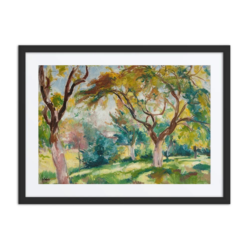 Apple Trees