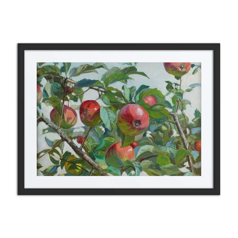 Apples