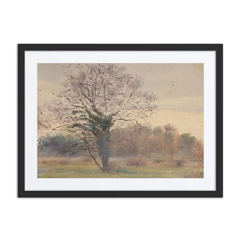 Arbre en Majesté dans un Pré
