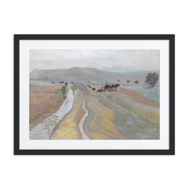 Auf Dem Feld