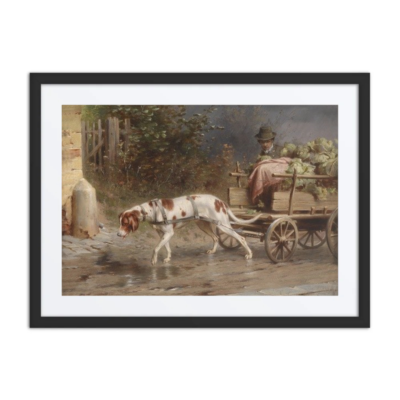 Auf Dem Weg Zum Markt