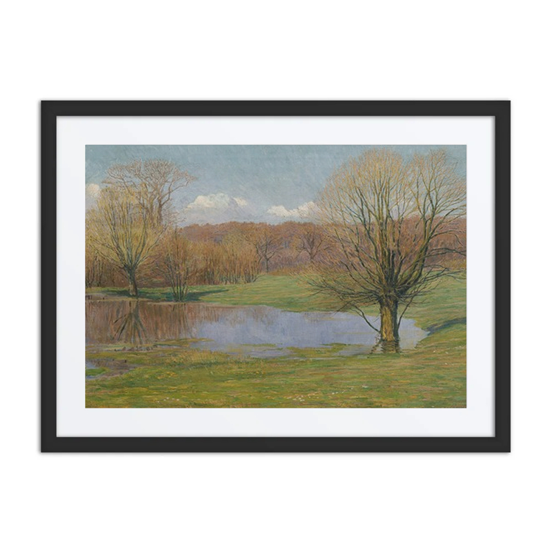 Aulandschaft Im Vorfrühling