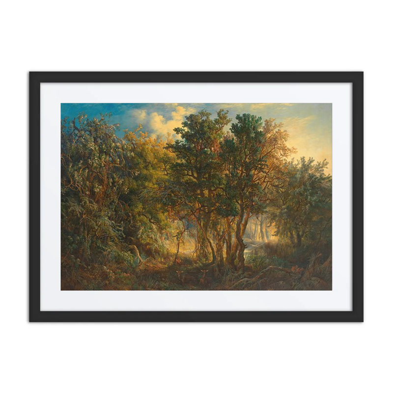 Australischer Urwald