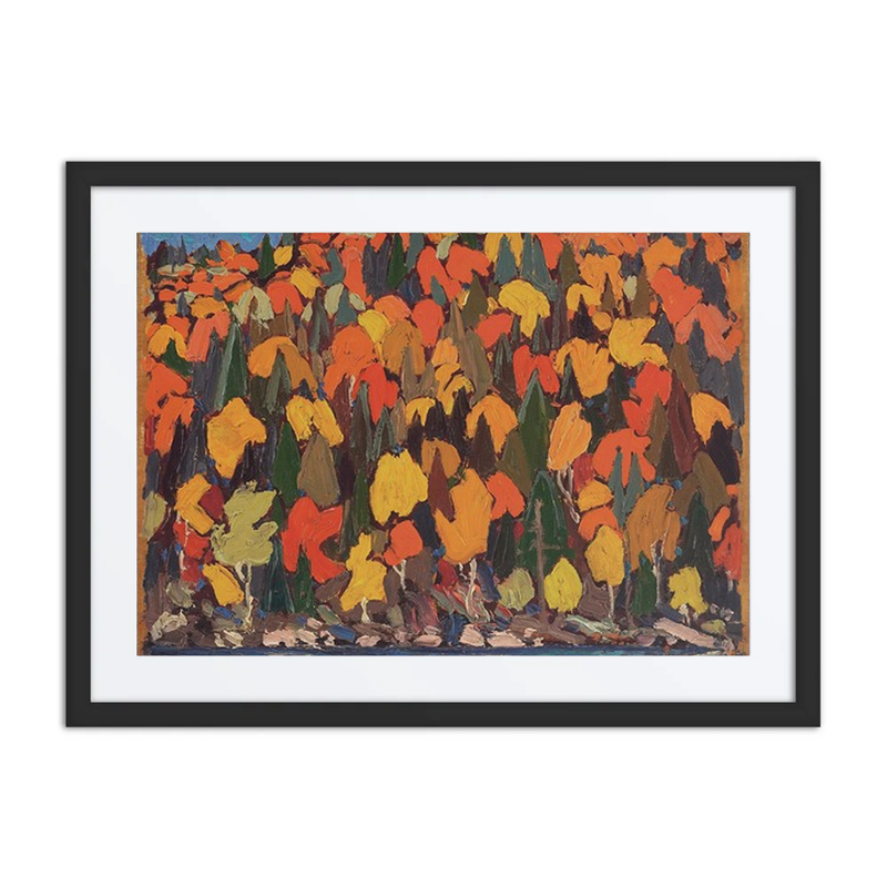 Autumn Foliage