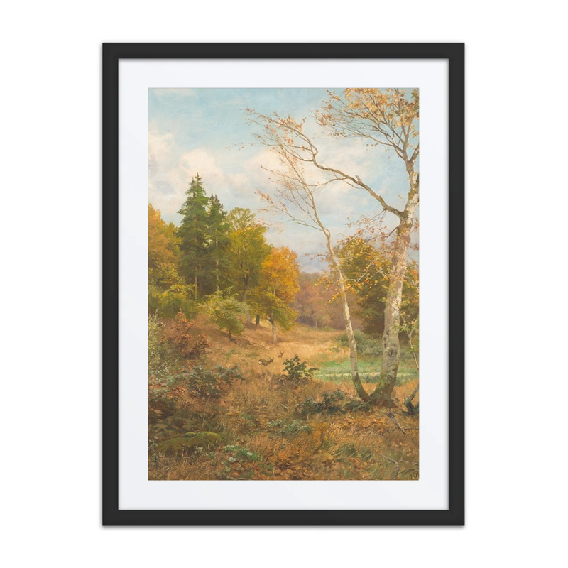 Autumn Forest