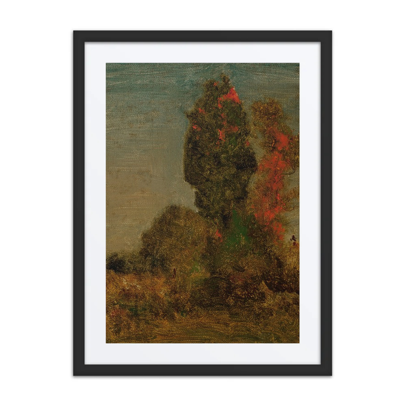 Autumn Trees