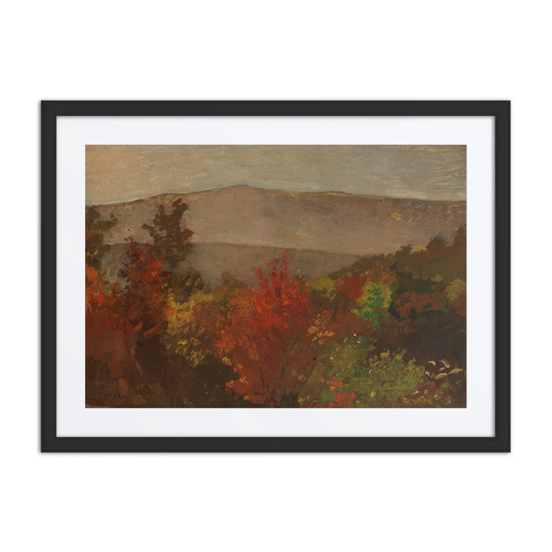 Autumn Treetops