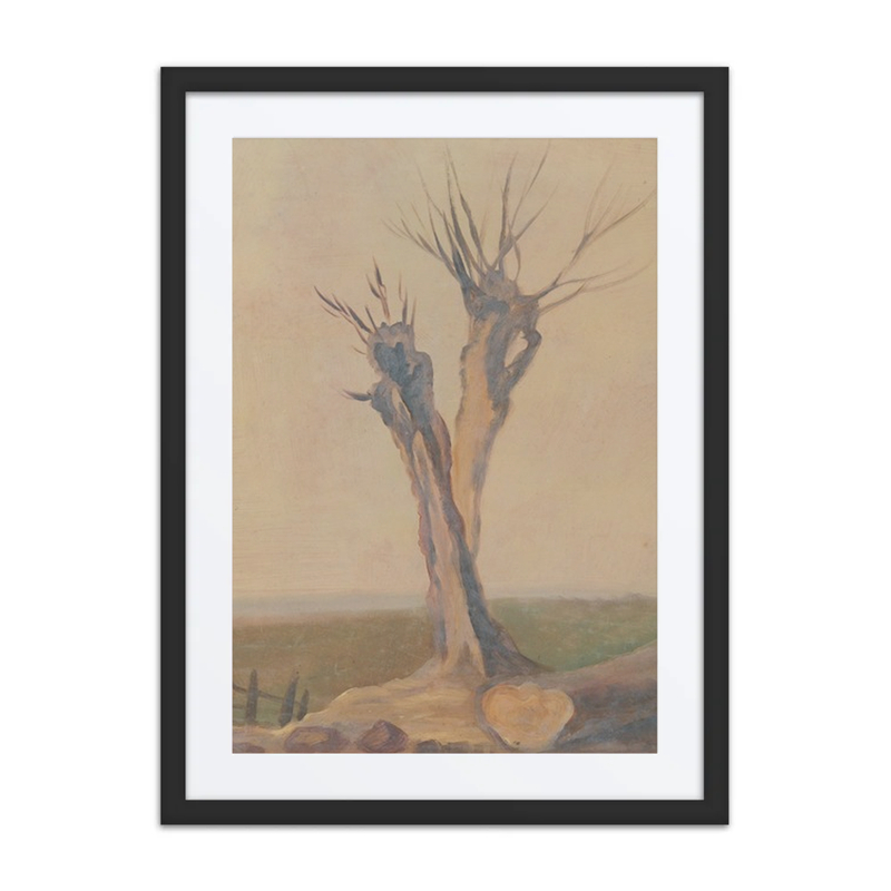 Bare Tree in Landscape