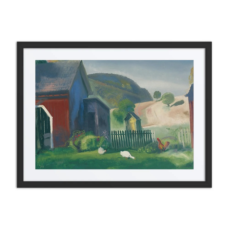 Barnyard and Chickens