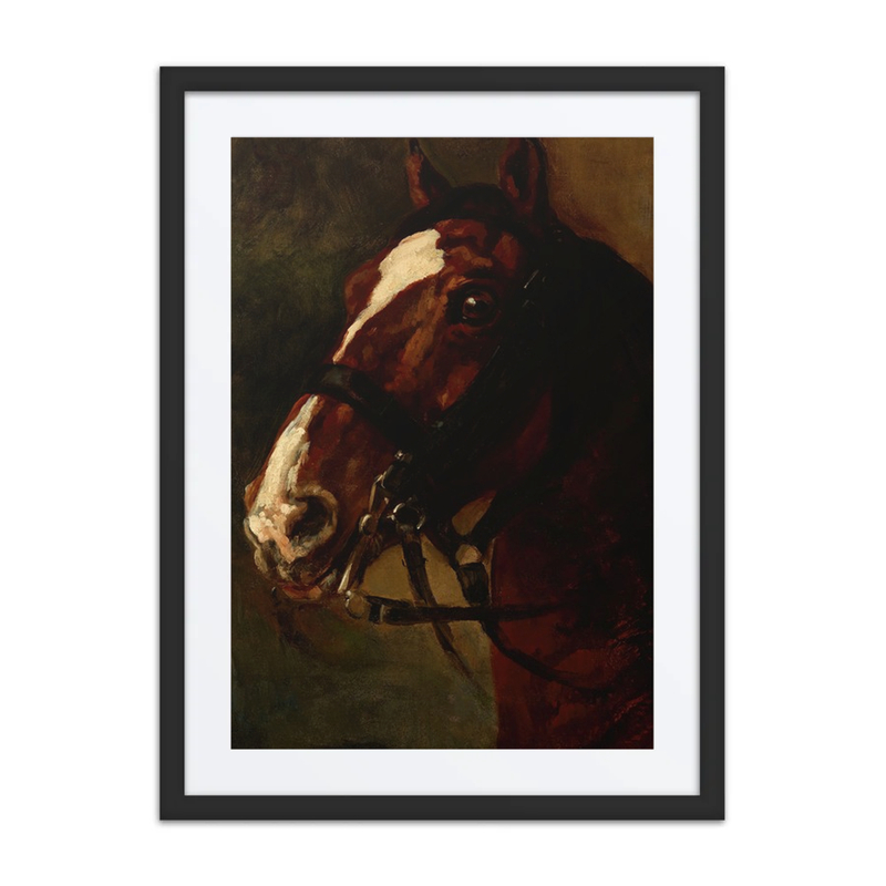 Bay horse’s Head