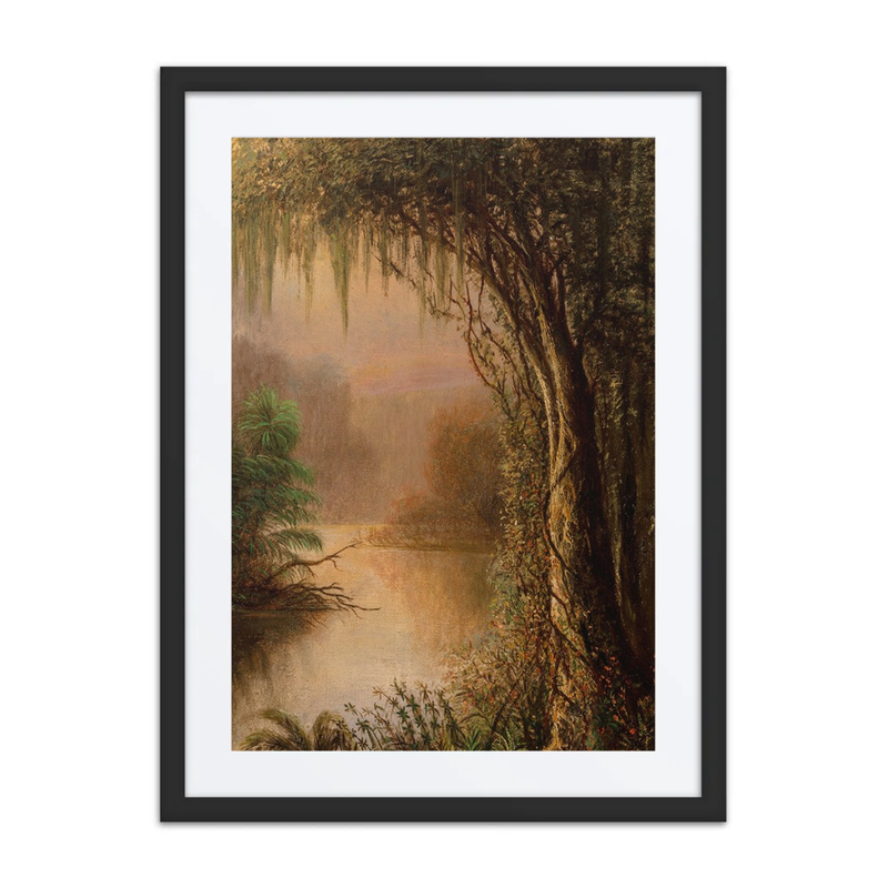 Bayou