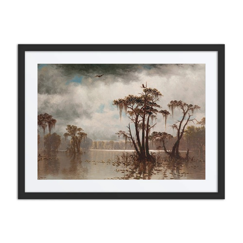 Bayou Scene