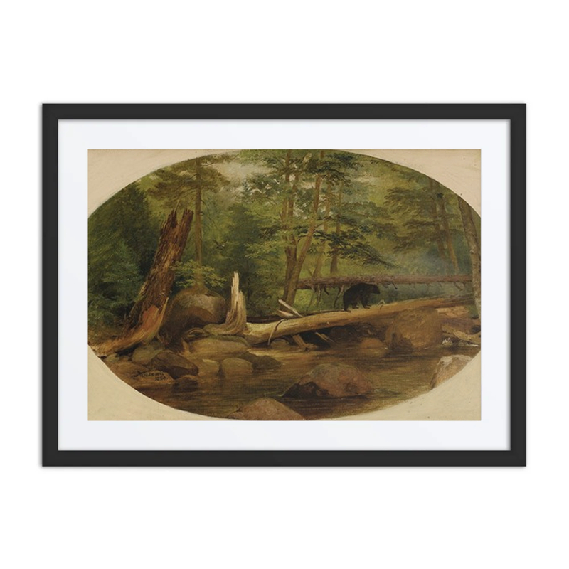 Bear in the Forest