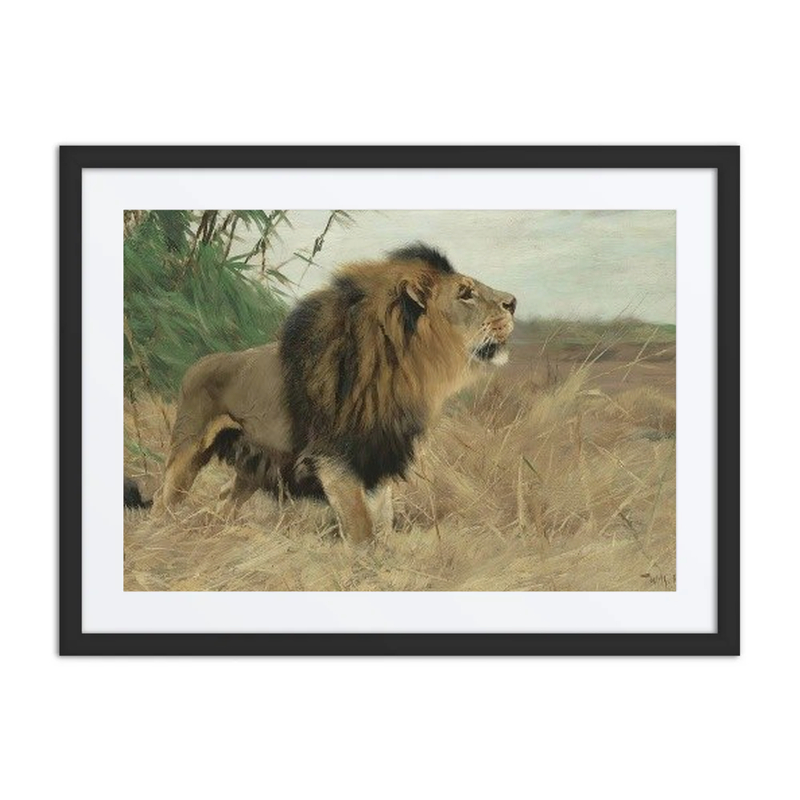 Beberlöwe (Berber Lion)