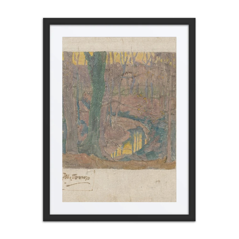 Beech Trees Along a Stream