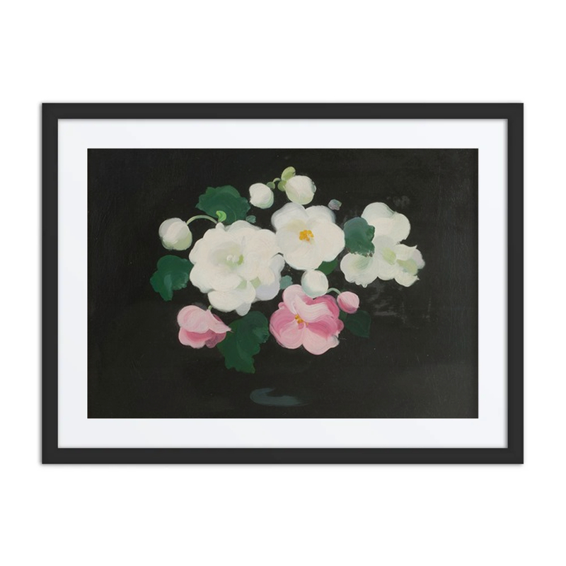 Begonias on Black