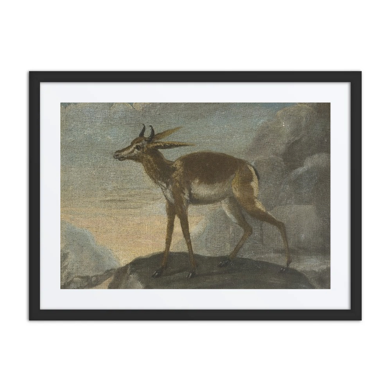 Bengal Deer