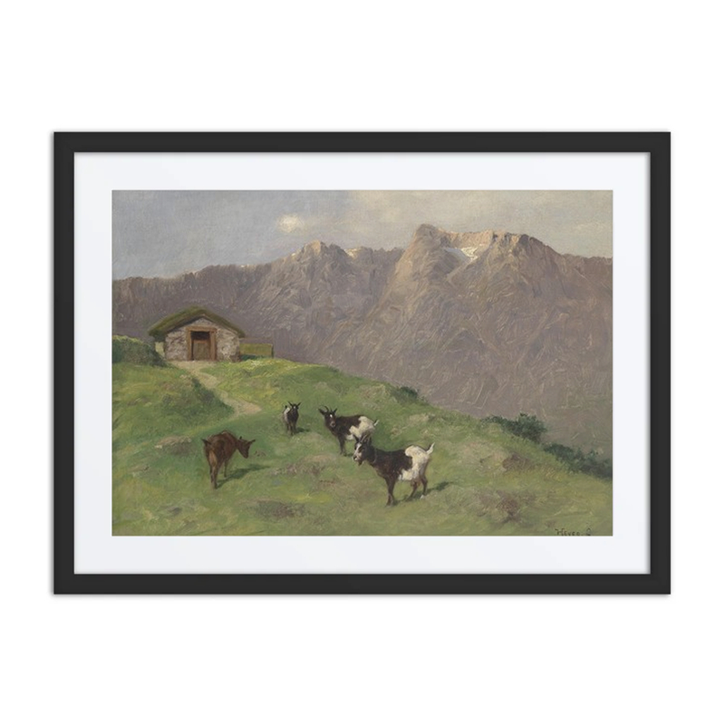 Bergziegen