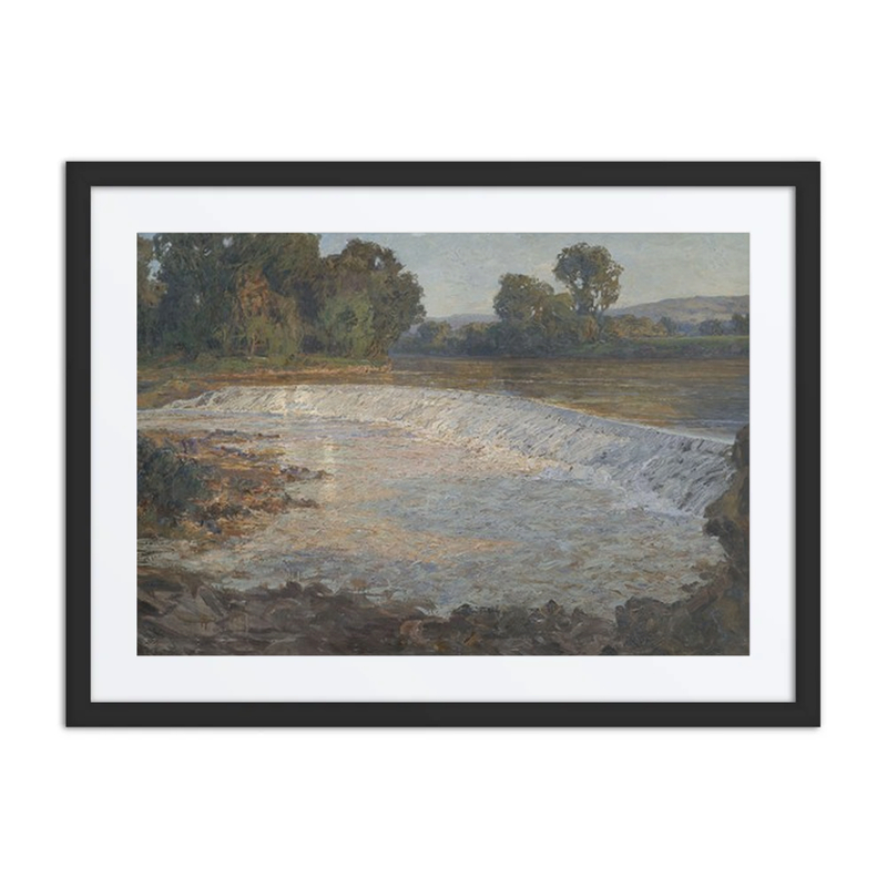 Bewaldete Landschaft Mit Neckarwehr