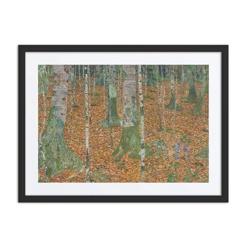 Birch Forest