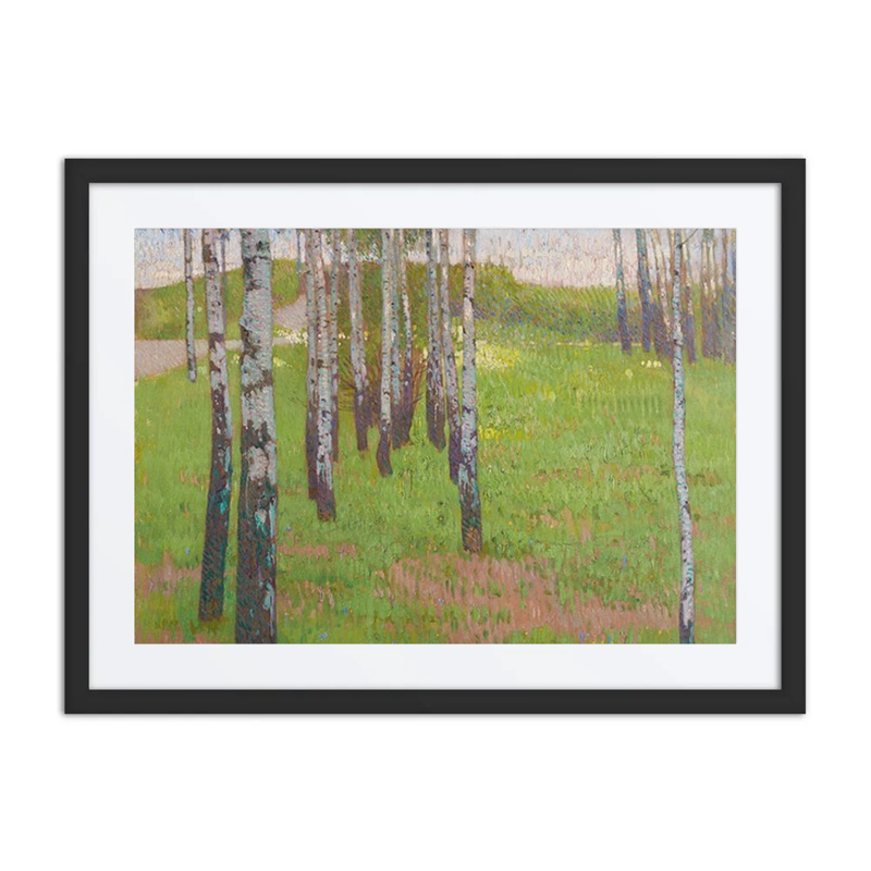 Birch Grove in Evening Light