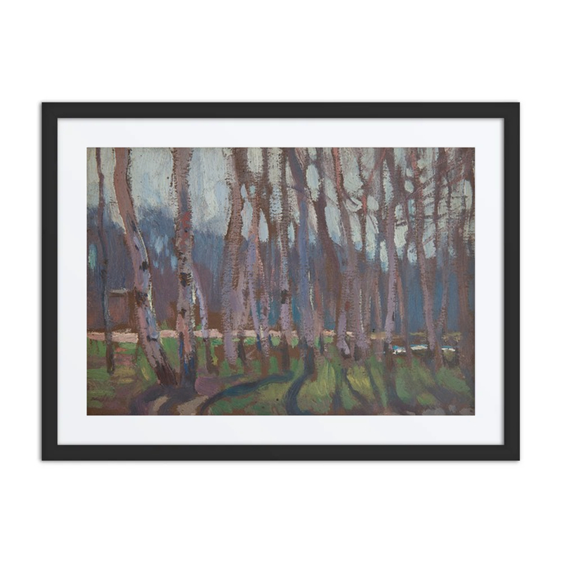 Birch Grove