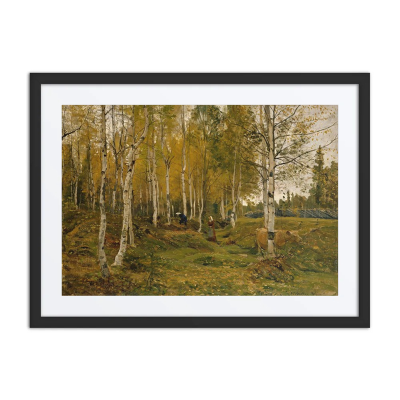 Birch Trees in Autumn
