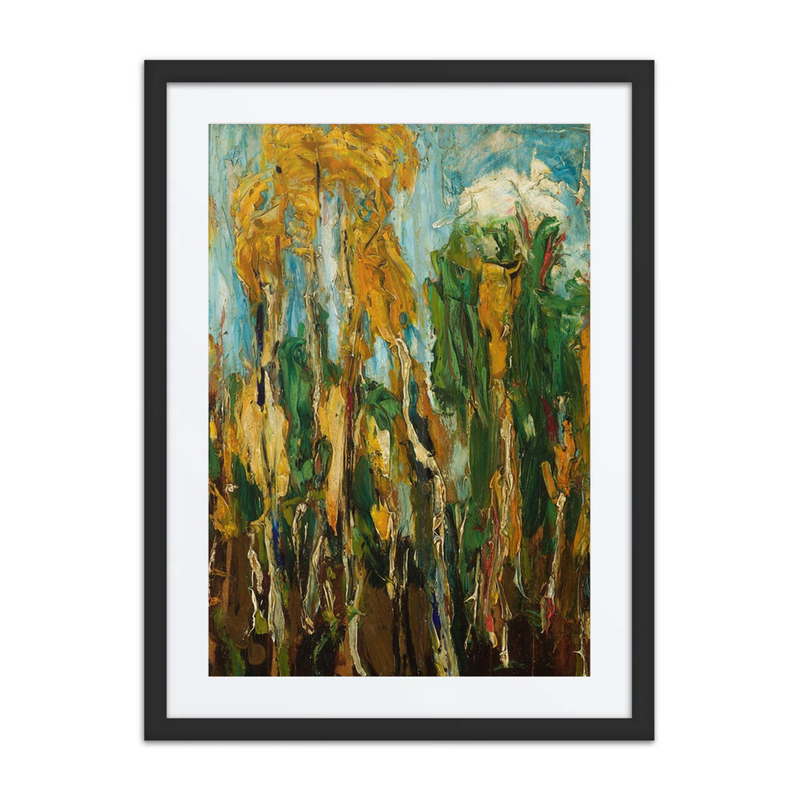 Birch Trees