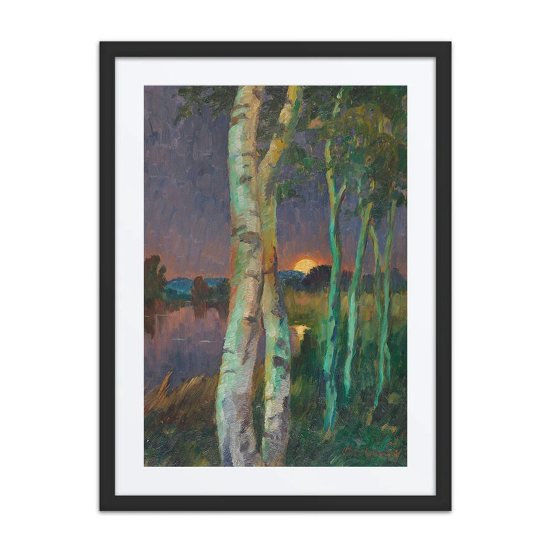 Birches at Sunset