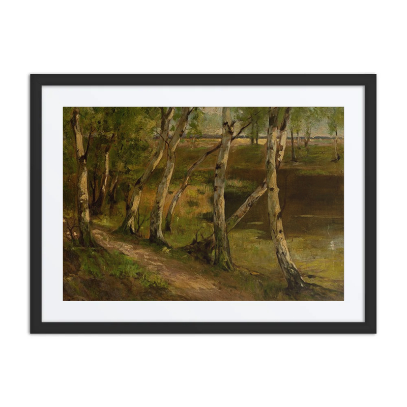 Birches at Waterside