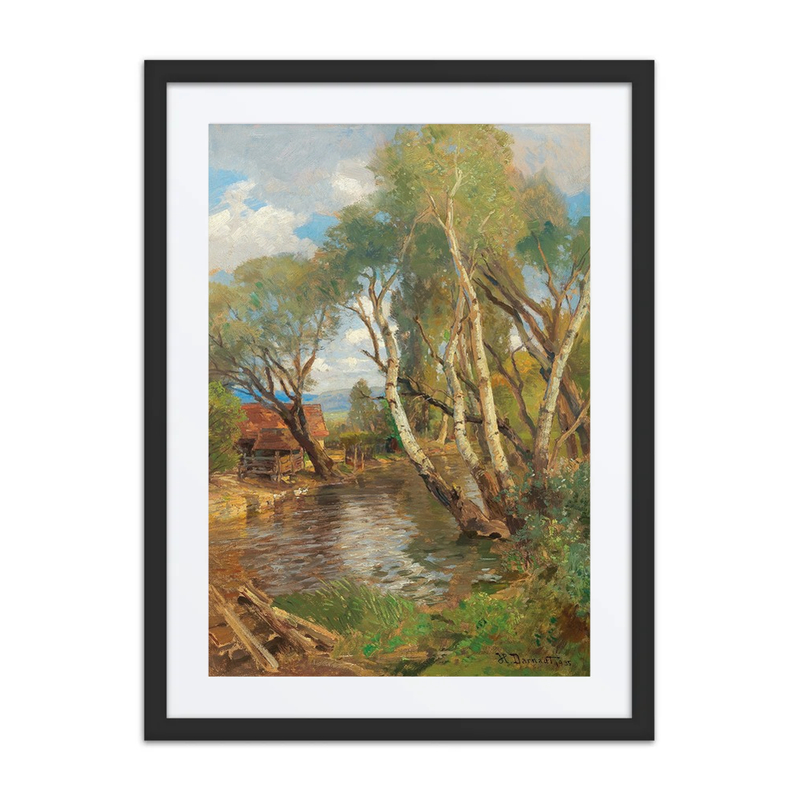 Birches by a Mountain Creek