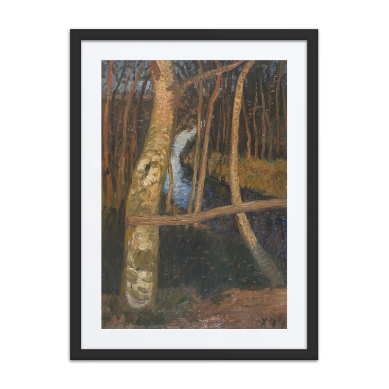 Birches by the Moor Ditch