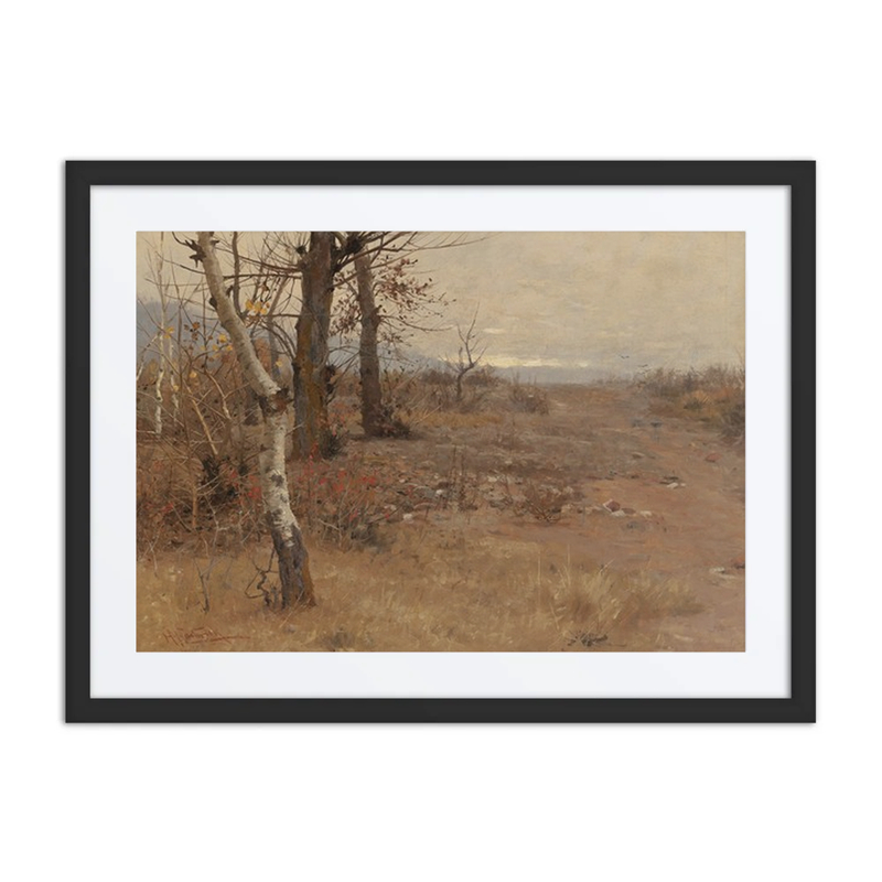 Birches in the Fall