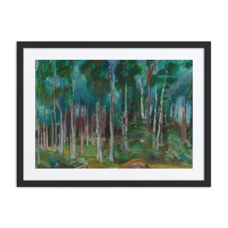 Birches in Vääksy
