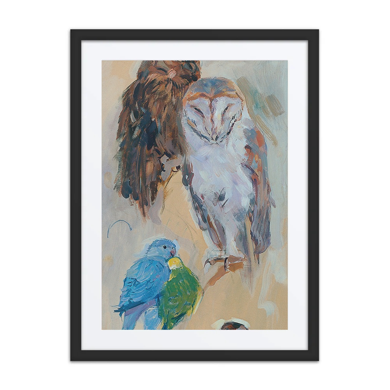 Bird Study from Schönbrunn