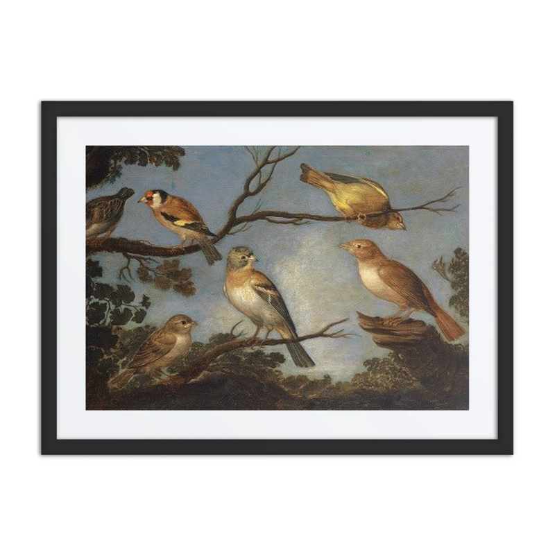 Birds on Branches