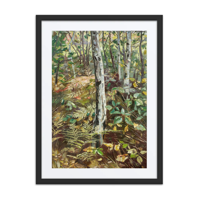 Birkenwald
