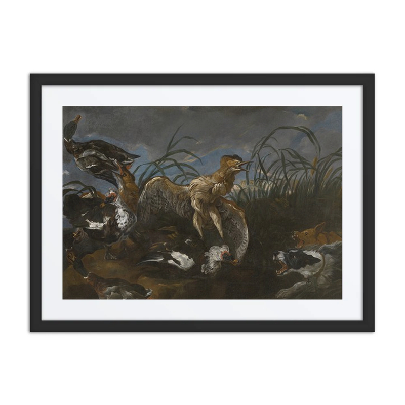 Bittern and Ducks Startled by Dogs