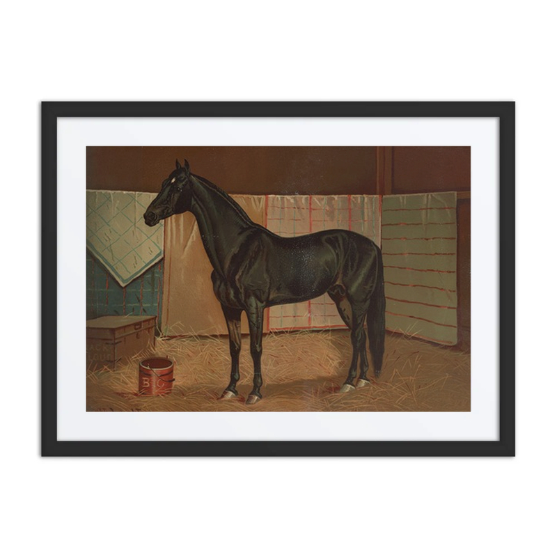 Black Cloud in Stable