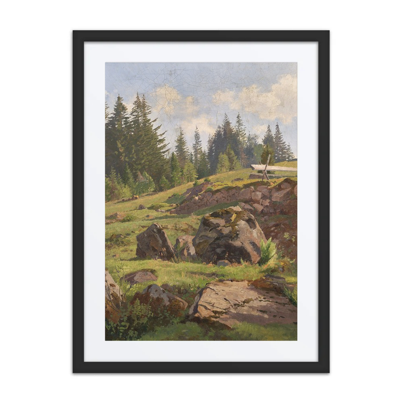 Black Forest Landscape