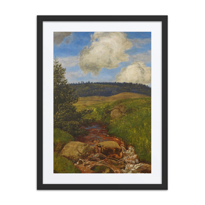 Black Forest Stream