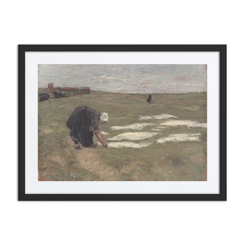 Bleaching on the Dunes Near Katwijk