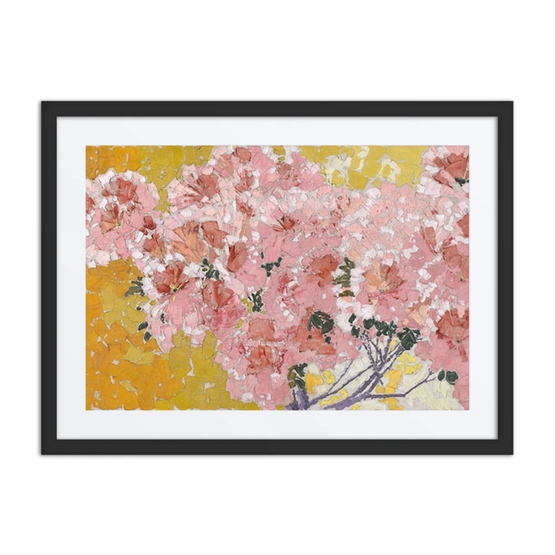 Blooming Azaleas