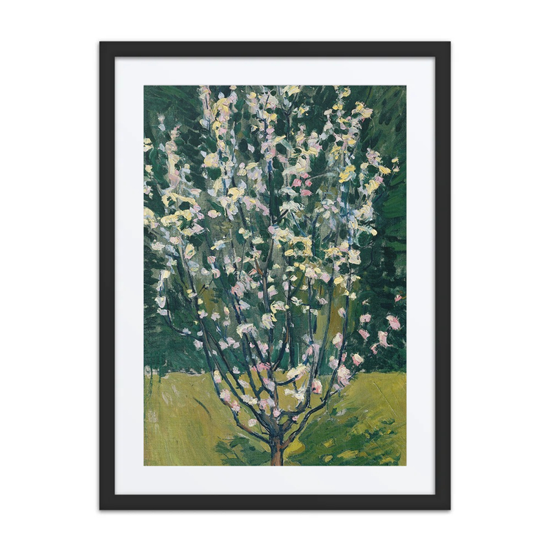 Blossoming Tree