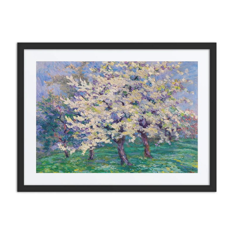 Blühende Apfelbäume