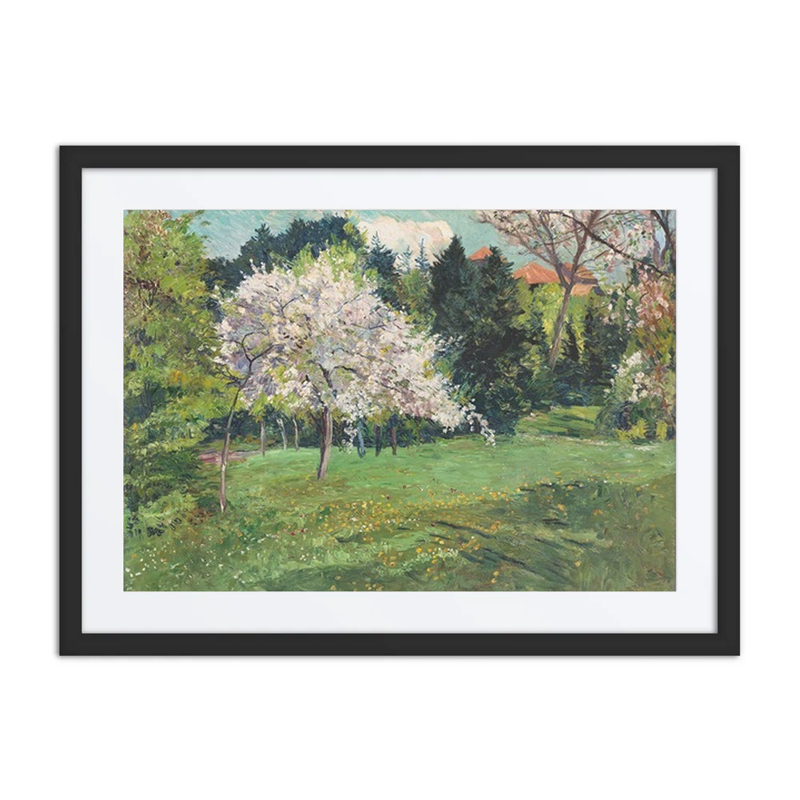Blühender Obstbaum (Blooming Apple Tree)