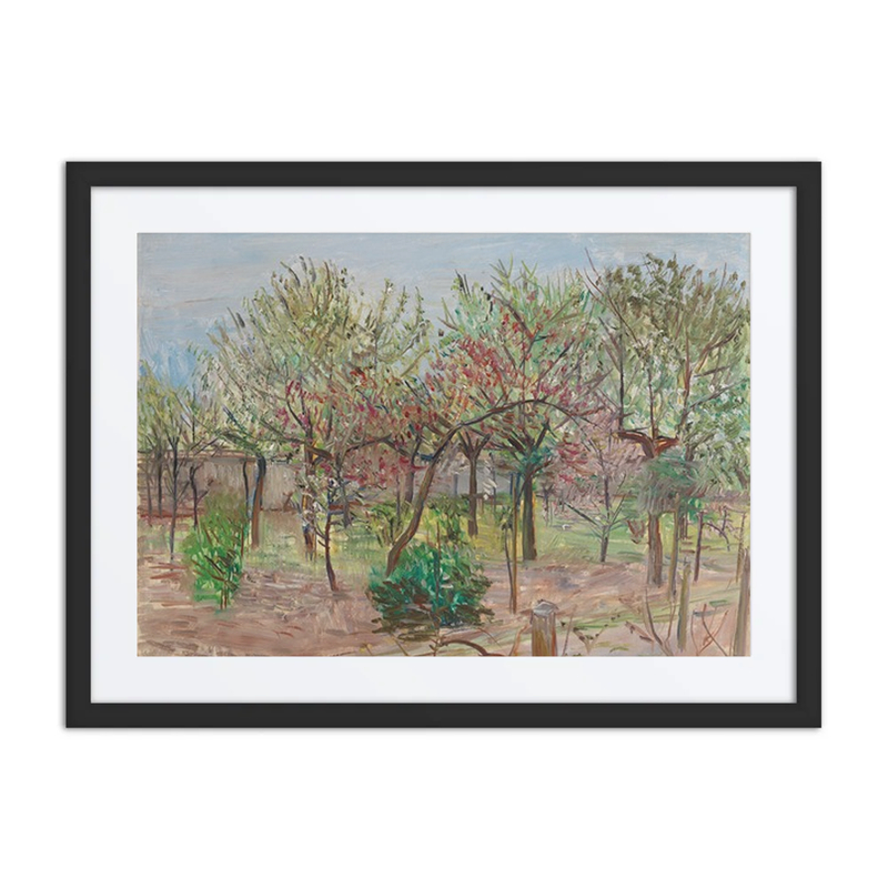 Blühender Obstgarten