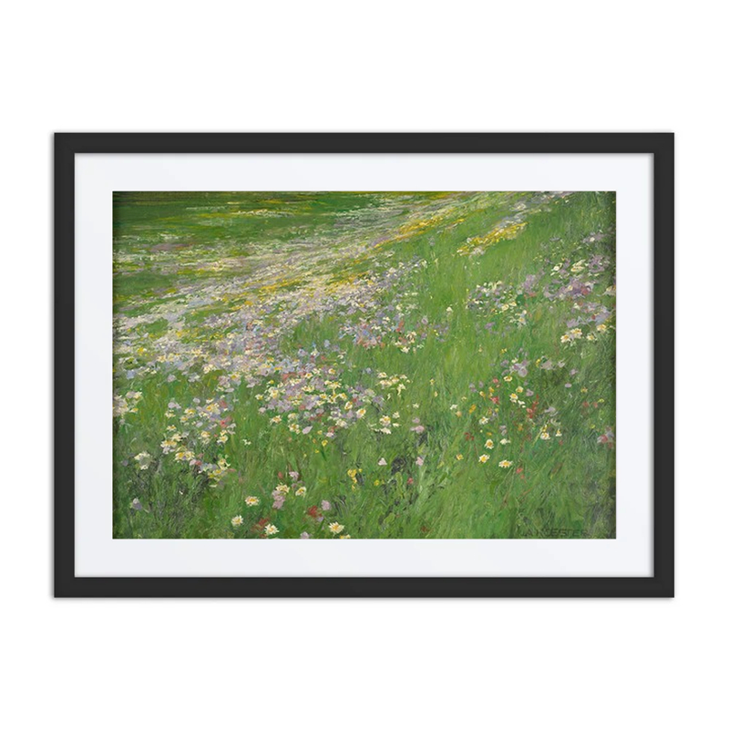 Blumenwiese Bei Weßling