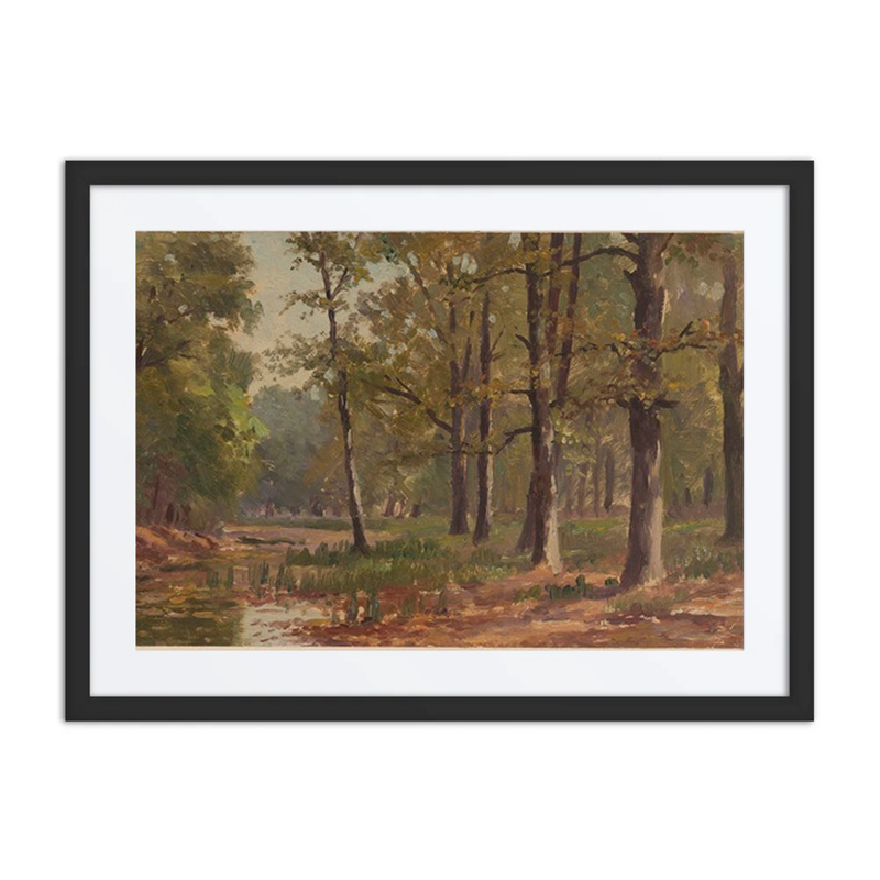 Boggy Forest