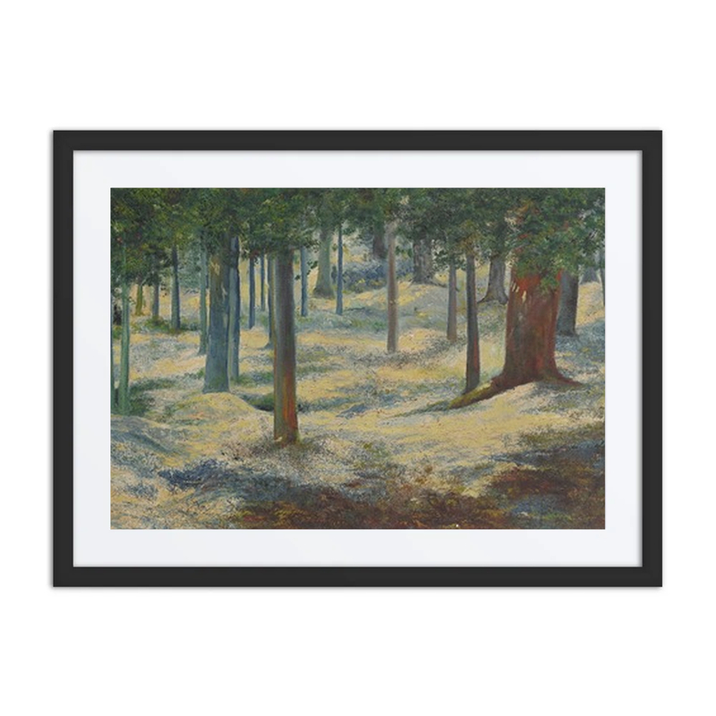 Bosque en El Otoño